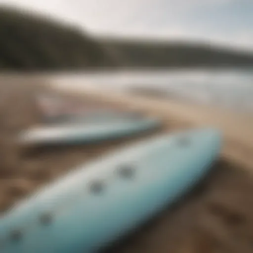 A peaceful ocean scene with surfboards resting on the beach