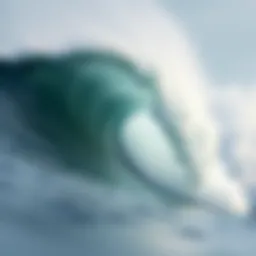 Detailed swell chart showcasing wave heights and periods