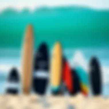 Comparison of Different Cabrinha Bar Models Various models of Cabrinha Bar displayed together, highlighting differences and features