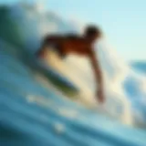 Understanding the Cost of Longboards: Factors and Insights Introduction