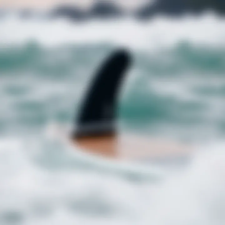 Notable Understanding the Longboard Fin Box: Functionality and Innovation
