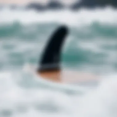Notable Understanding the Longboard Fin Box: Functionality and Innovation Notable Understanding the Longboard Fin Box: Functionality and Innovation