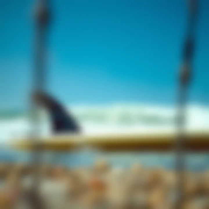 Understanding the Longboard Fin Box: Functionality and Innovation Summary
