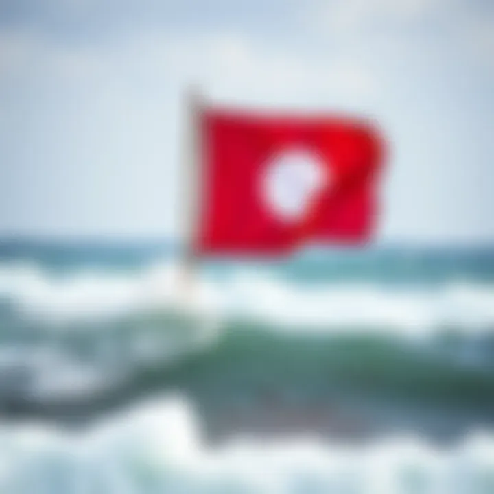 Evolution of flag usage in surfing culture