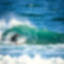 Understanding Wave Height Forecasts and Their Importance for Surfing Introduction