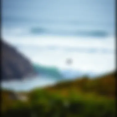 A coastal landscape highlighting surf conditions