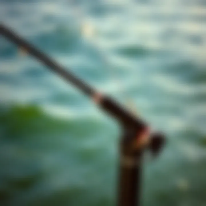 Maintenance tools and tips for surf rod holders