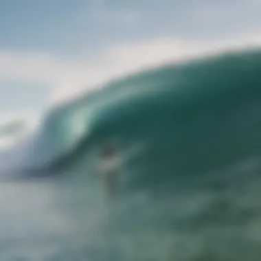 An aerial view of surfers riding waves in harmony with nature