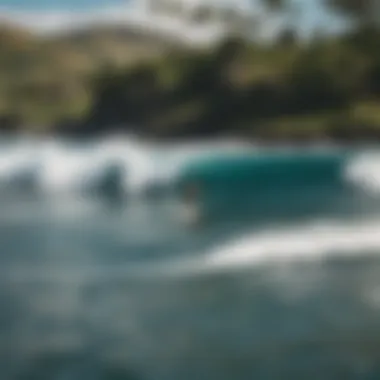 A diverse group of surfers preparing for a session, emphasizing community and inclusivity in the sport.